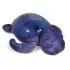 Tranquil Turtle - Ocean