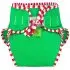 Reusable Swimsuit Diaper Green
