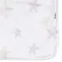 2 Ply Plush Blanket - Celestial Stars