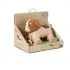 Pull Along Toy - Adrien the Dog