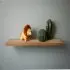 Tiny Friends with Fur - Jackson The Lion