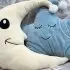 Kokoons Plush with LED & Sound - Petrol Star