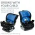 Poplar Convertible Car Seat - Cobalt Onyx