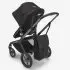 Butterfly Transport Bag