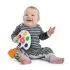 Color Palette Popper Sensory Toy