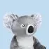 Quinn The Koala