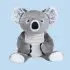 Quinn The Koala