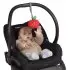 Mini-Apple Farm Cherry Pull Musical Take Along Toy