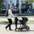 Shine Car Seat Adapter - Maxi Cosi/Nuna