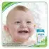 Bamboo Baby Tooth & Gum Wipes 30 Count