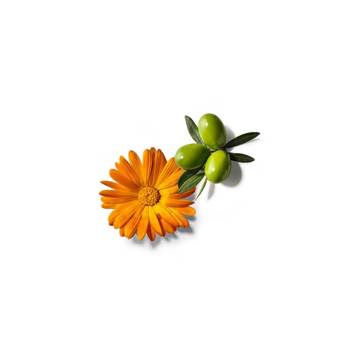 Organic Nipple Balm 40g