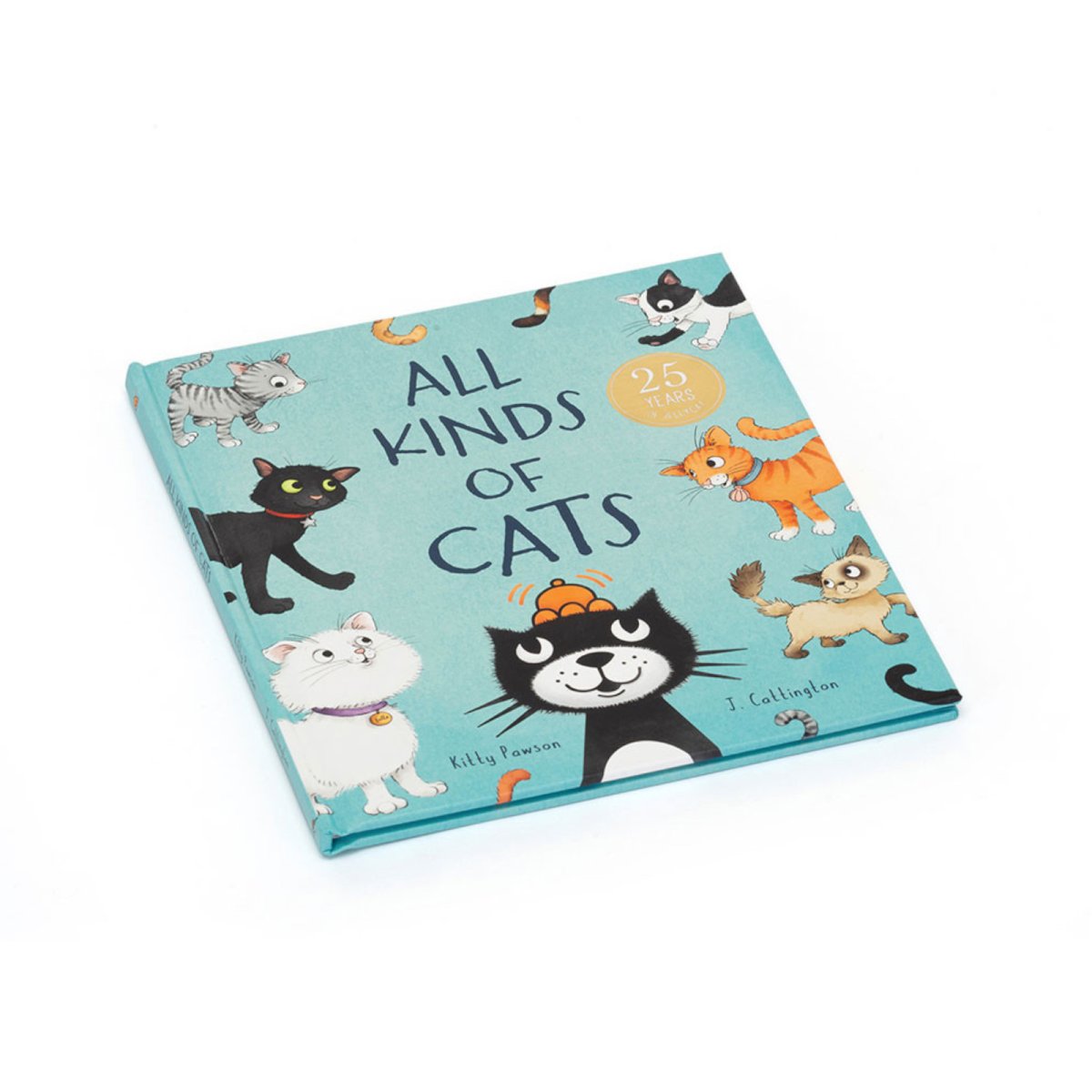 All Kinds Of Cats Book