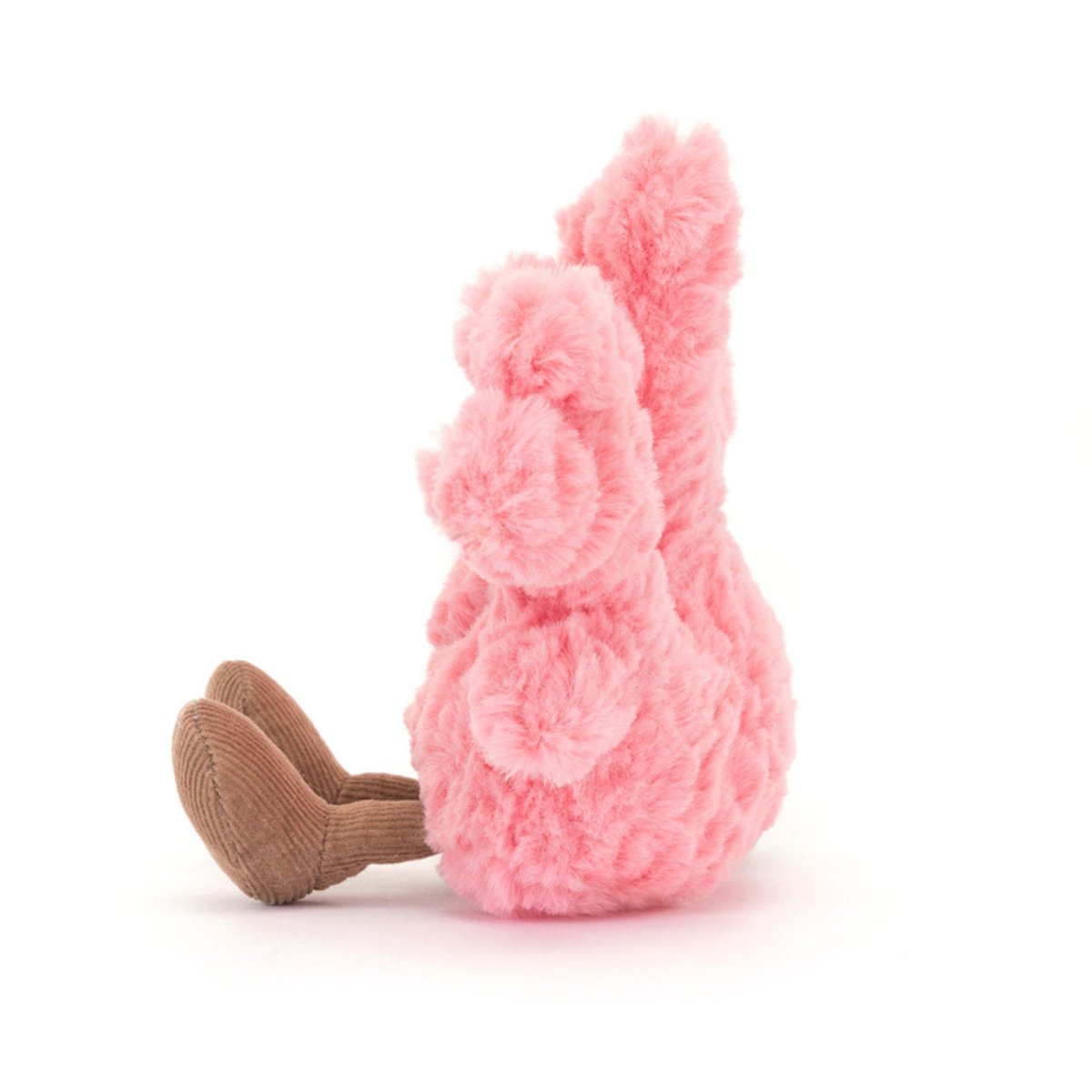 Amuseable Coral