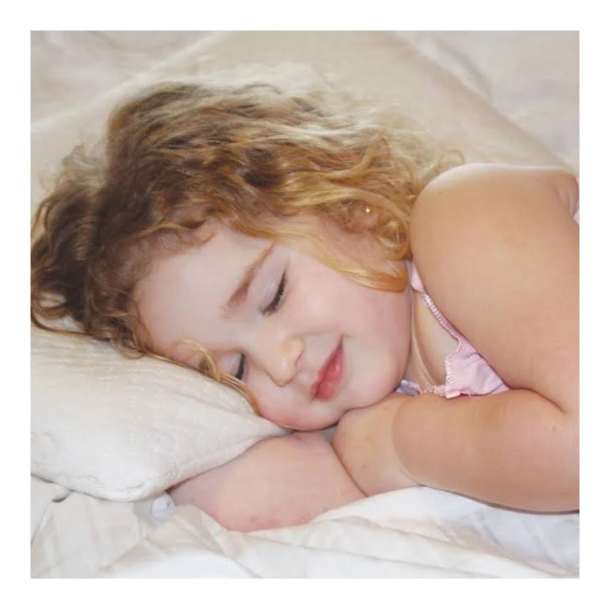 Big Kid Pillow With Bamboo Pillow Case