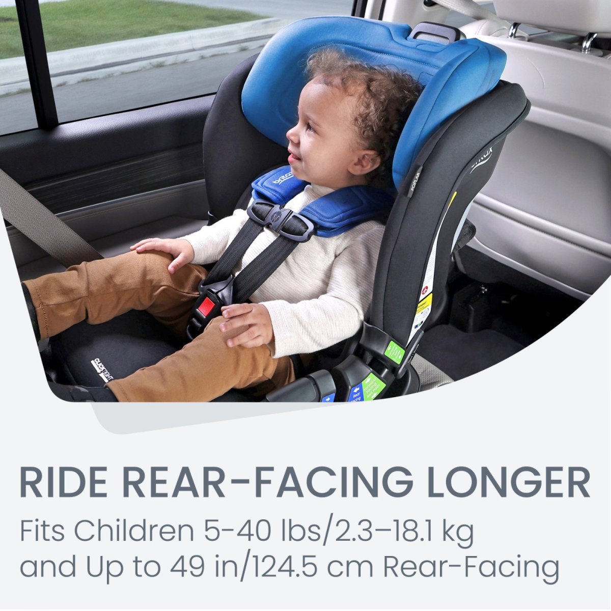 Poplar Convertible Car Seat - Cobalt Onyx