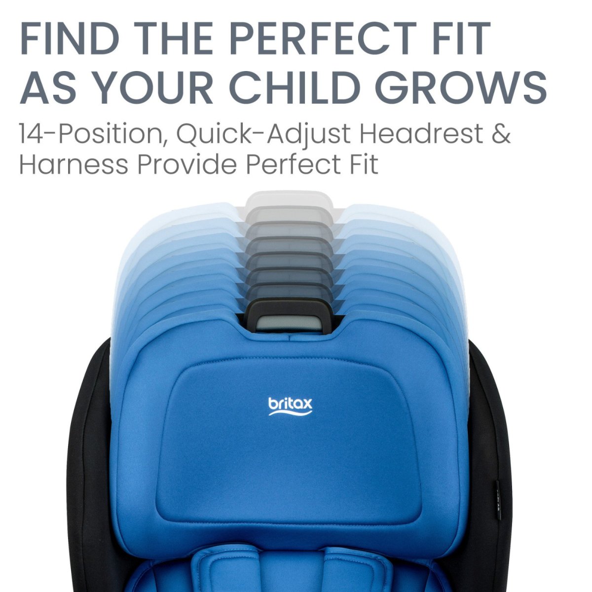 Poplar Convertible Car Seat - Cobalt Onyx