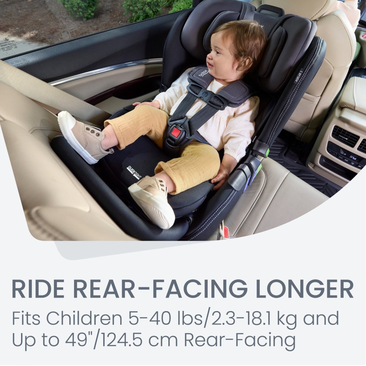 Poplar S Convertible Car Seat - Stone Onyx