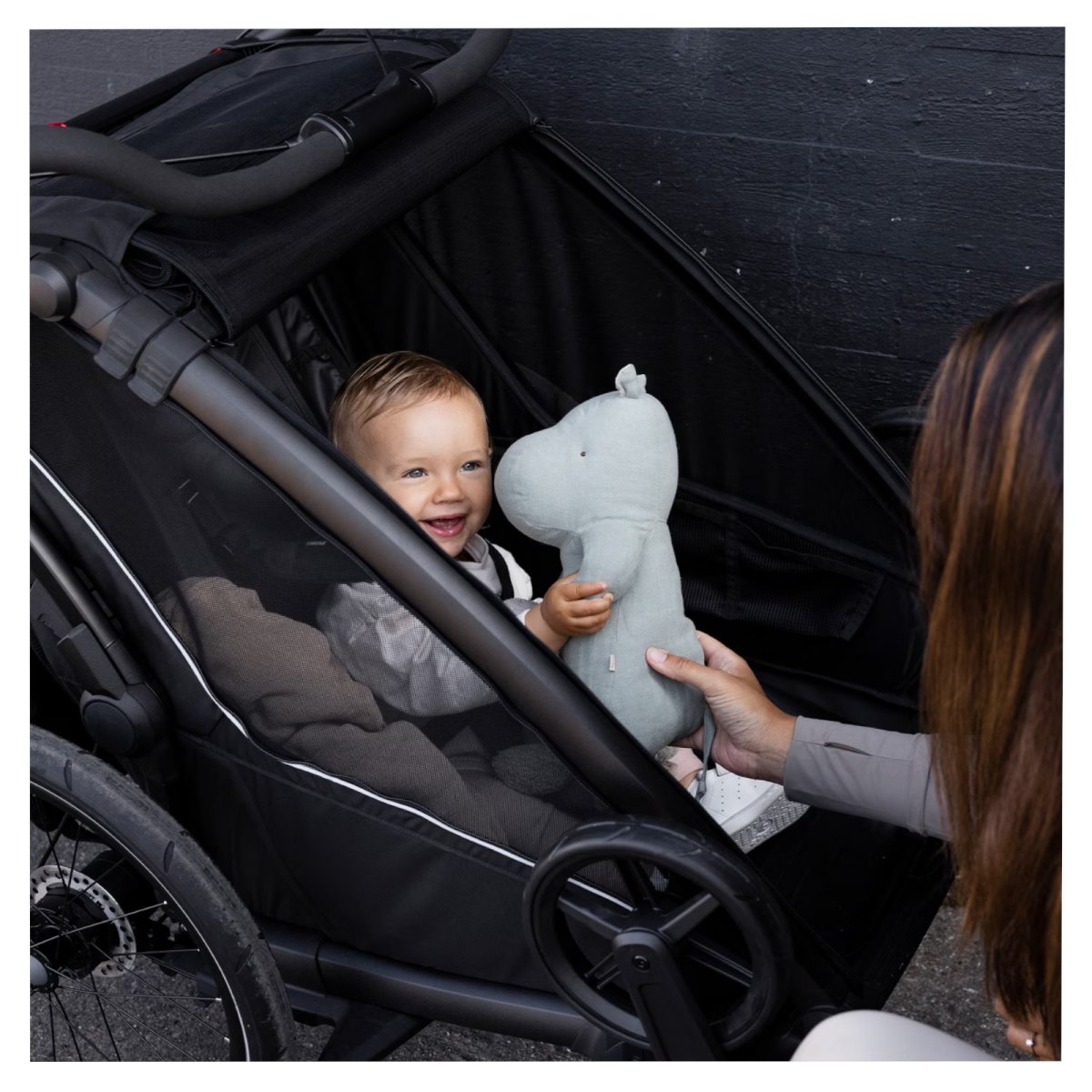 Chariot Sport 2 single Black