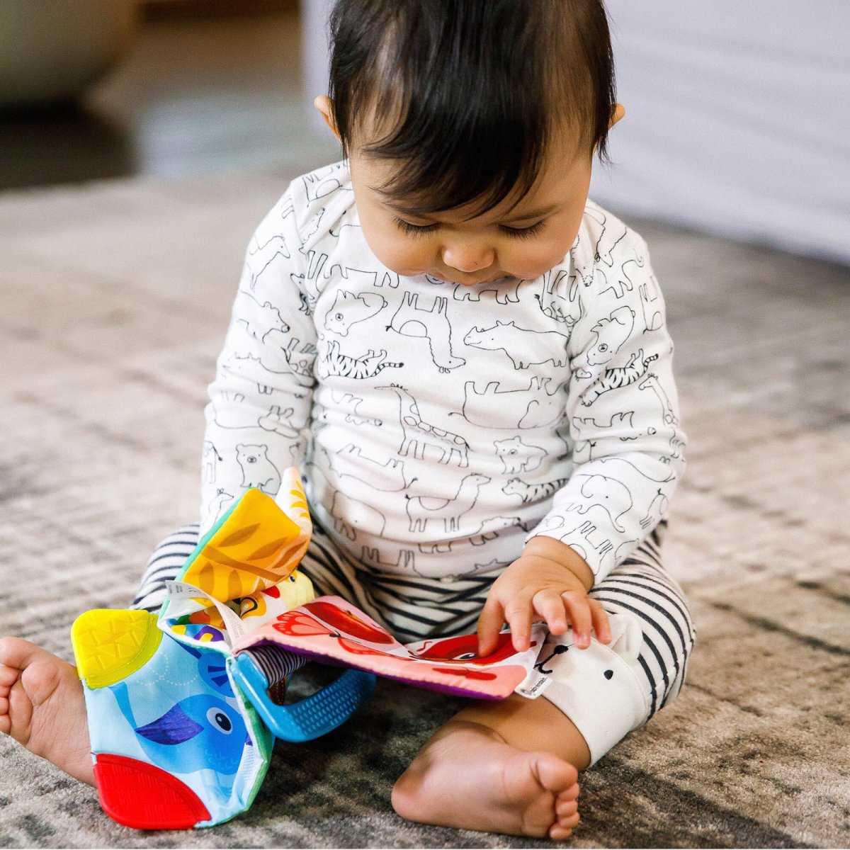 Curious Explorers Teether Book