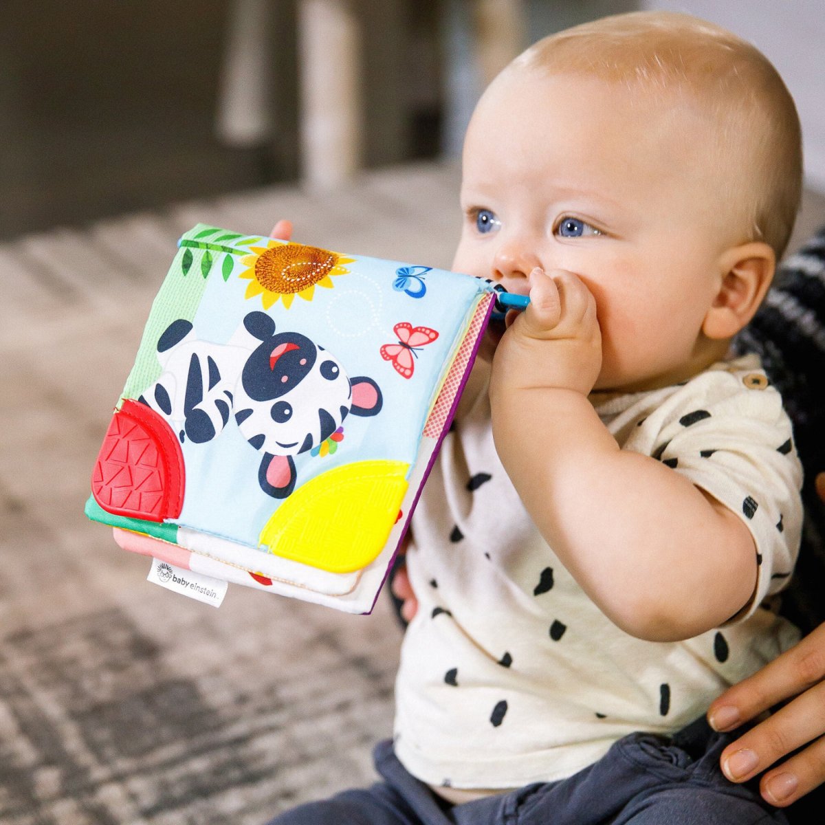 Curious Explorers Teether Book