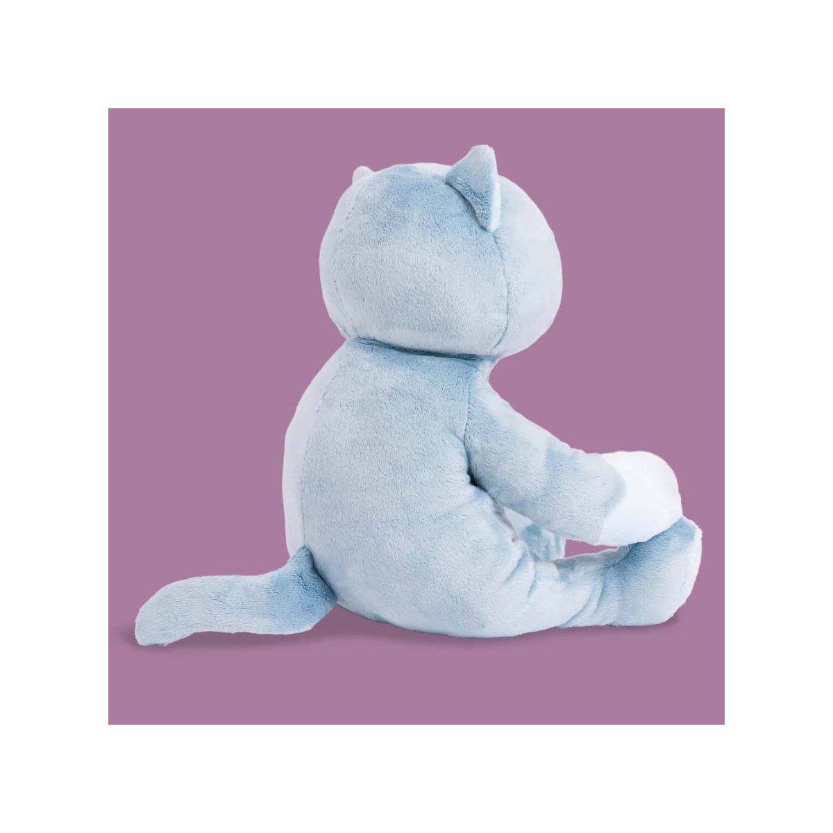 Frankie the Cat