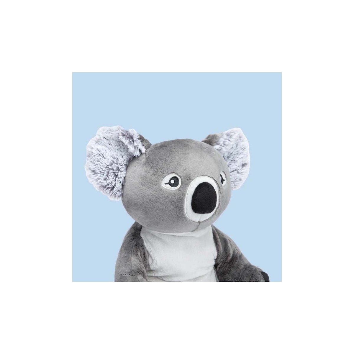 Quinn The Koala