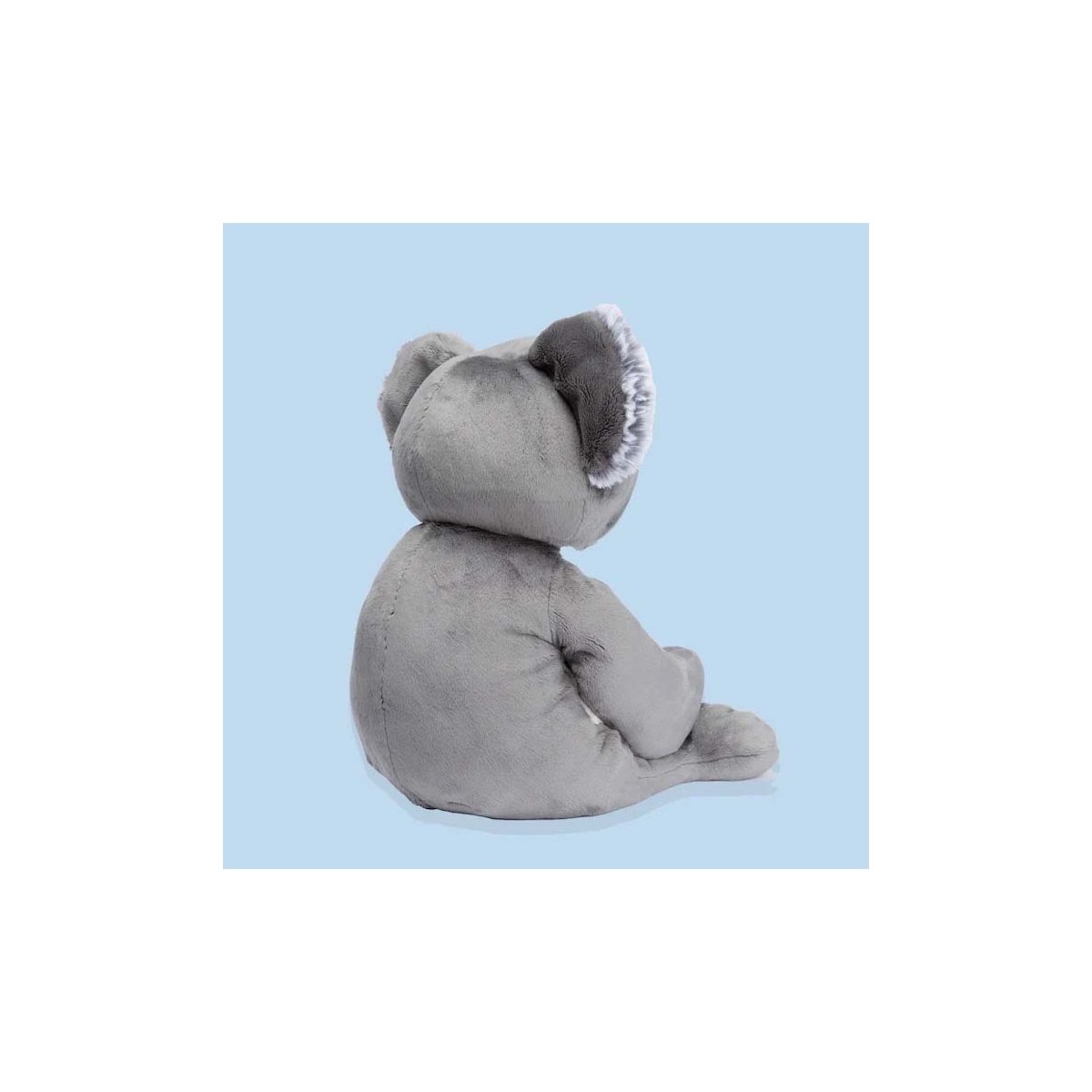 Quinn The Koala