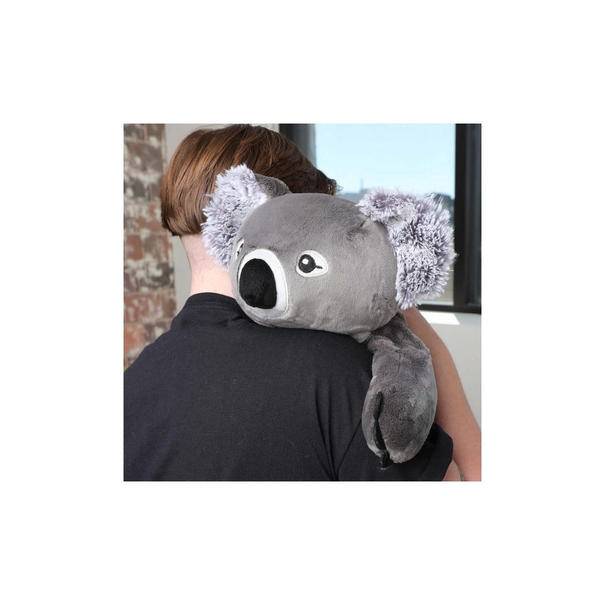 Quinn The Koala