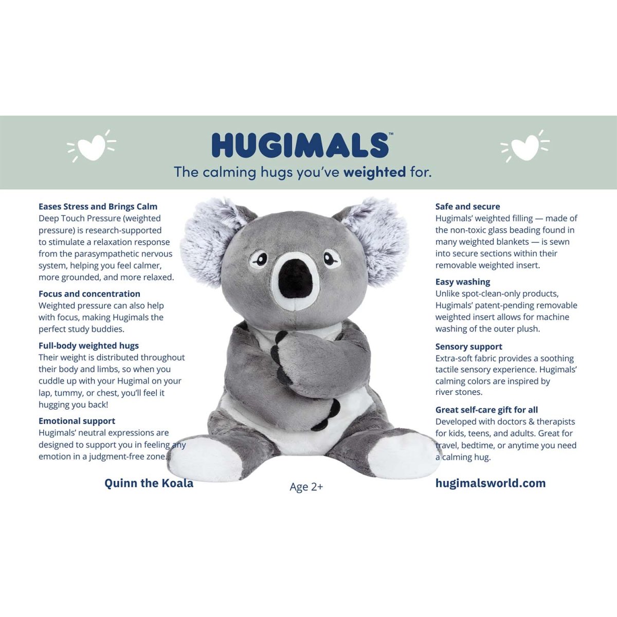 Quinn The Koala