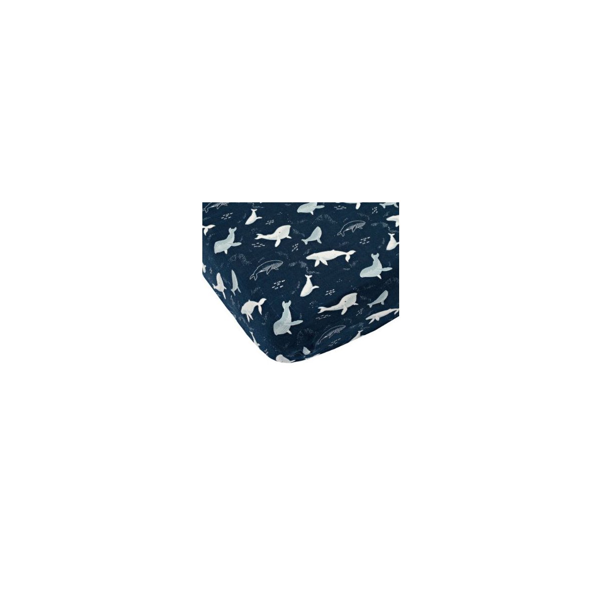 Crib Sheet - Blue Whales