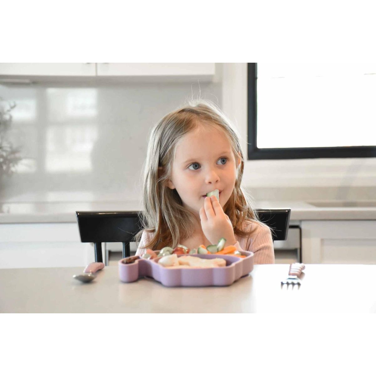 Silicone Divided Plate - Cat