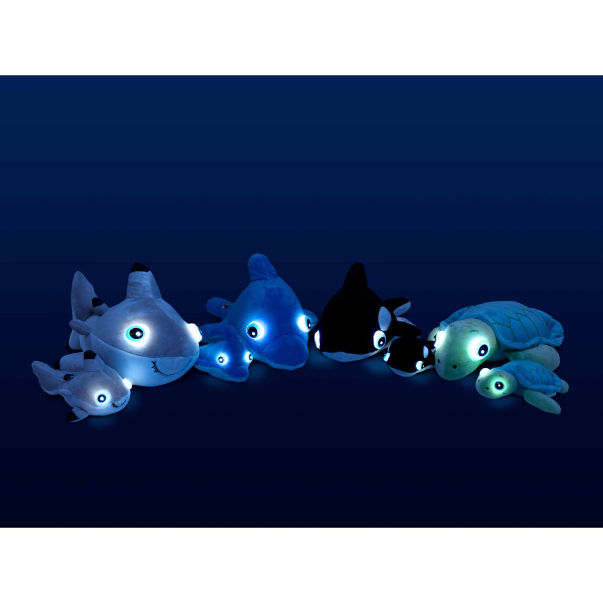 Light-Up 15