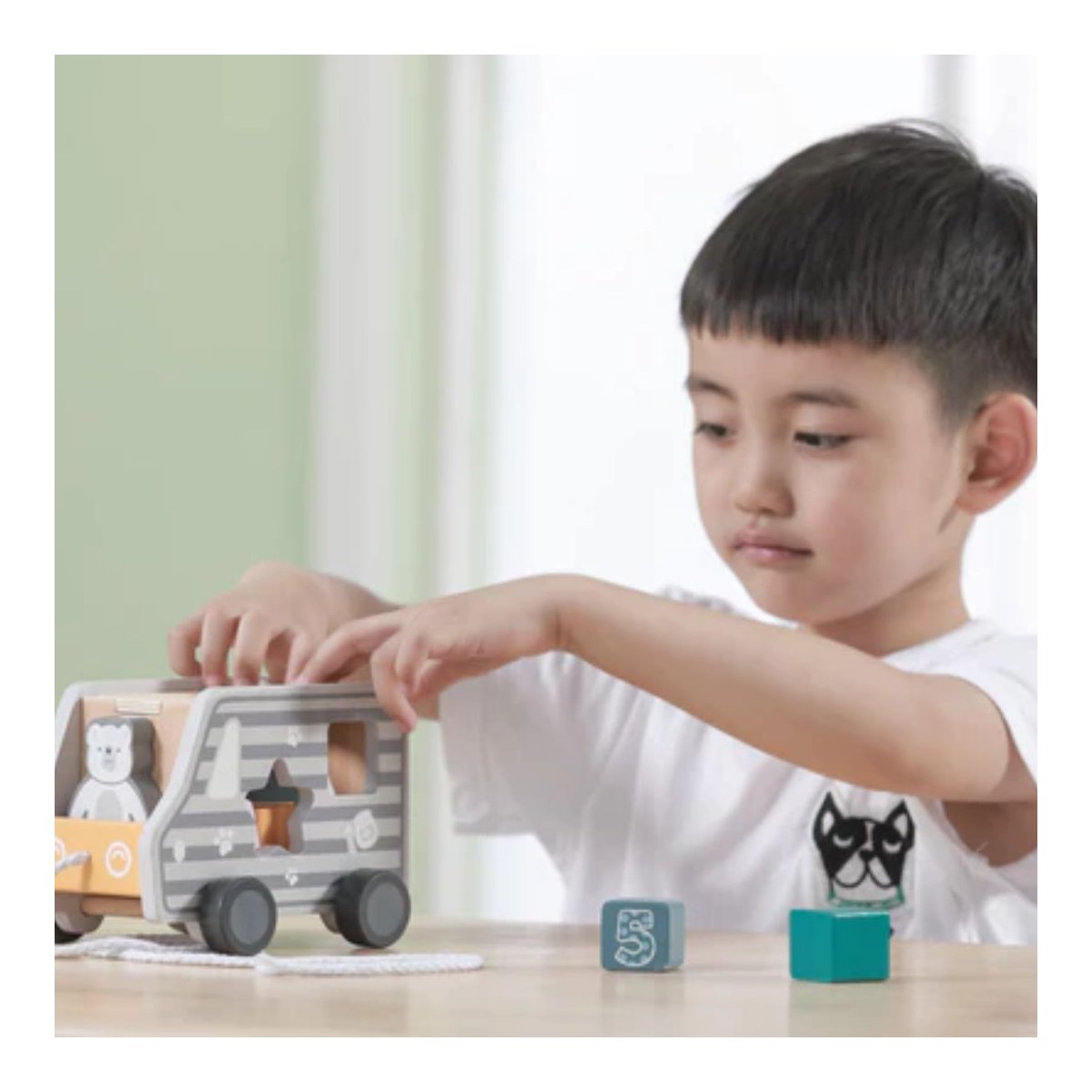 Pull - Along Shape Sorting Truck