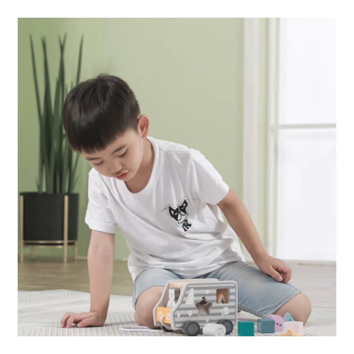 Pull - Along Shape Sorting Truck