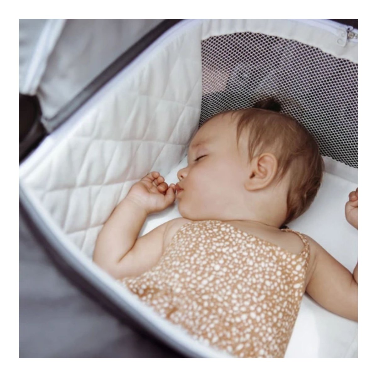 Switchback Bassinet